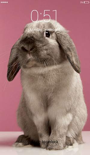 Rabbit run Lock Screen Wallpaper 3 تصوير الشاشة