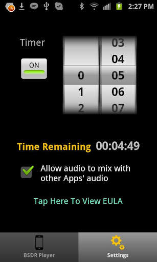 BSDR Player screenshot 3