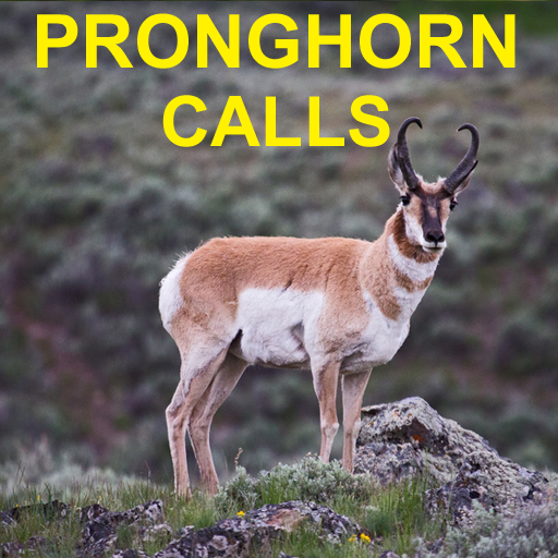 Pronghorn Hunting Calls AU icon
