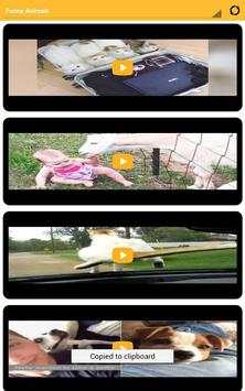 Funny Videos screenshot 9