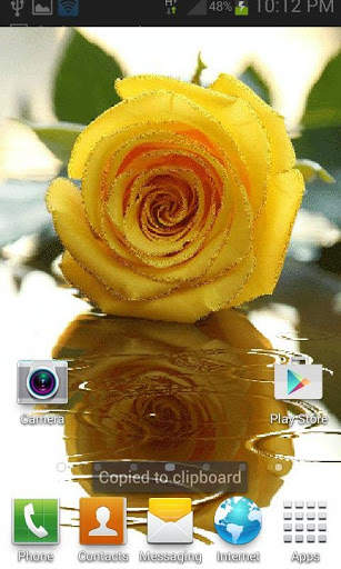 Yellow Rose Shine LWP screenshot 2