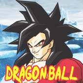 Games Dragon Ball Z Budokai Tenkaichi Guide icon