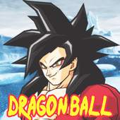 Games Dragon Ball Z Budokai Tenkaichi Guide 1.0