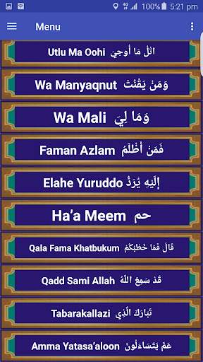 Quran Pak MP3 screenshot 6