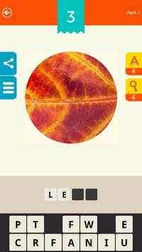 Guess the Pic! screenshot 4