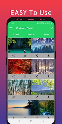 Story Saver For WhatsApp screenshot 1