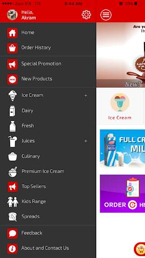KDD e-Shop screenshot 2
