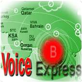Voice Express Dialer on 9Apps