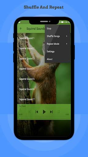 Squirrel Sounds screenshot 3