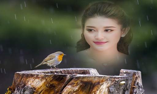 Birds Photo Frame New screenshot 3