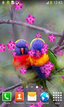 Love Birds Live Wallpapers screenshot 6