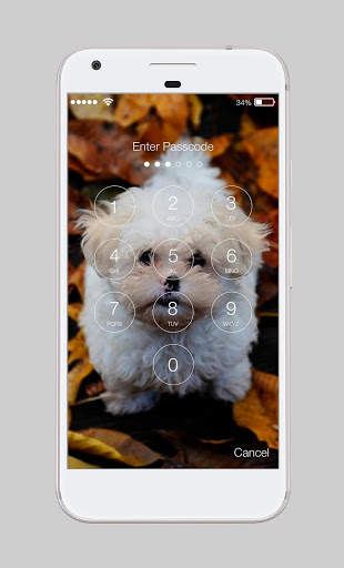 Cute Dogs Domestic Pets Beautiful Lock Screen screenshot 2