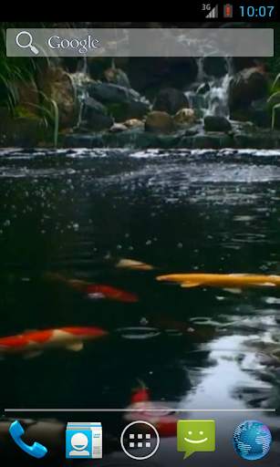 Real pond with Koi screenshot 2