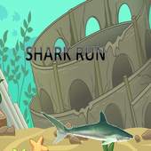 Shark run 1.0