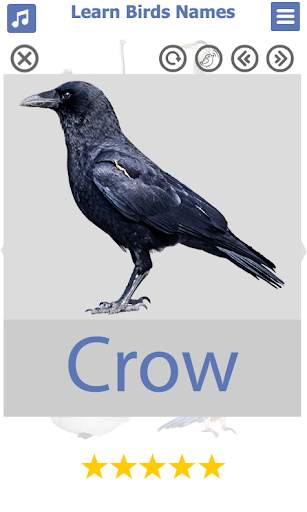 Birds name in English स्क्रीनशॉट 8