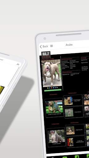 QBN App 4 تصوير الشاشة