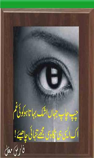 Ankhun Ki Shayri (Urdu Poetry) screenshot 4