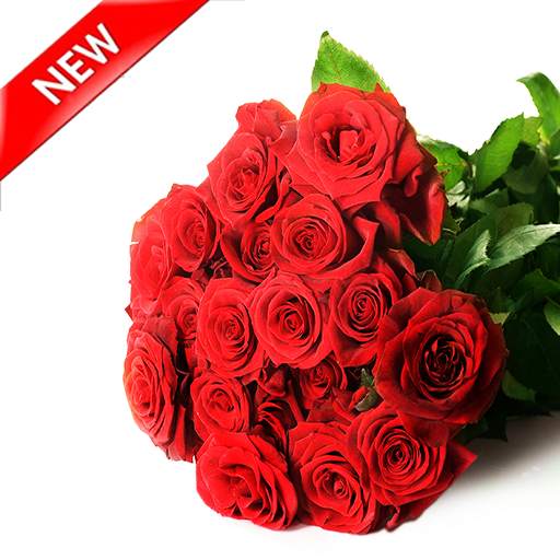 Rose Stickers for WhatsApp 1.2