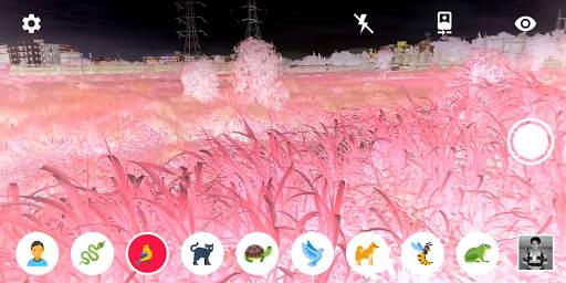 Animal Vision Simulator screenshot 2