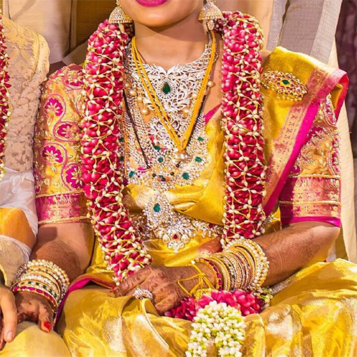 ikon Indian Wedding Sarees