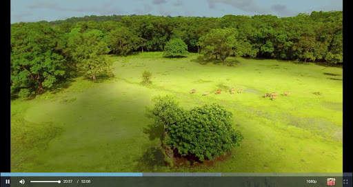 Uptobox Player screenshot 3