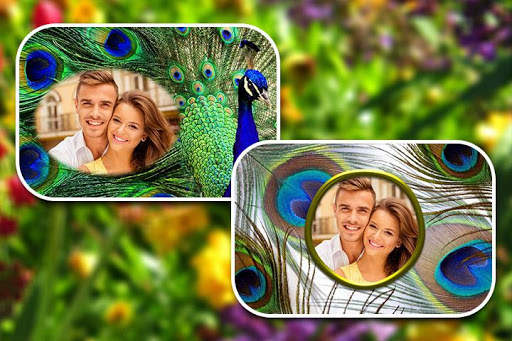 Peacock Feather Photo Frames screenshot 3