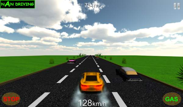 NaN Driving screenshot 5