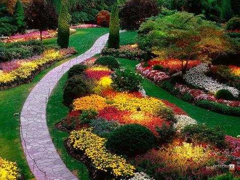 wallpaper Garden ❤️ GIF Image of Flower screenshot 5