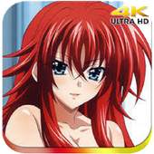 HighSchool DxD wallpaper HD 2