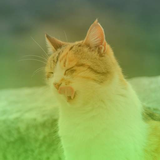 CORA Photo Editor screenshot 2