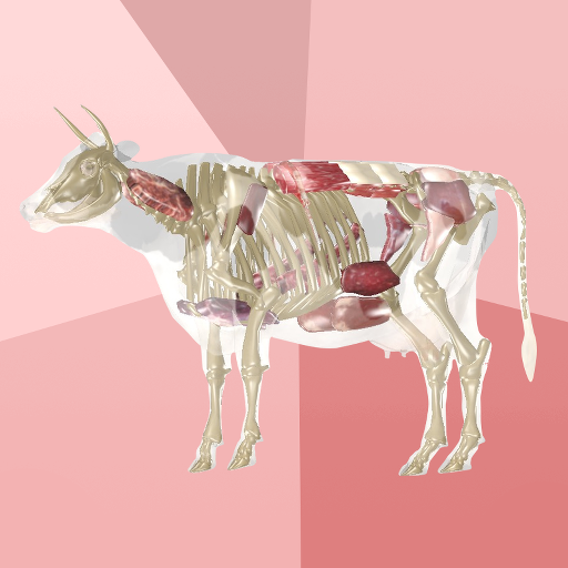 Beef Cuts 3D icon