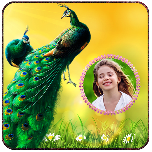 Peacock Photo Frames icon
