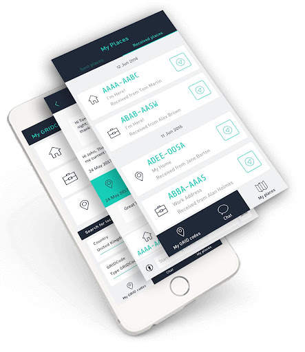 GRID screenshot 3