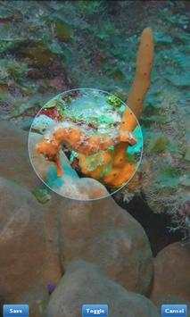 Photo Gallery (Fish Bowl) screenshot 7