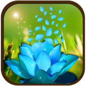 3D Flower Petal Wallpaper 1.1