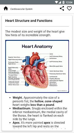 Human Anatomy and Physiology screenshot 5