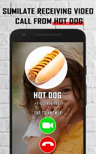Hot Dog fake video call - chat screenshot 3