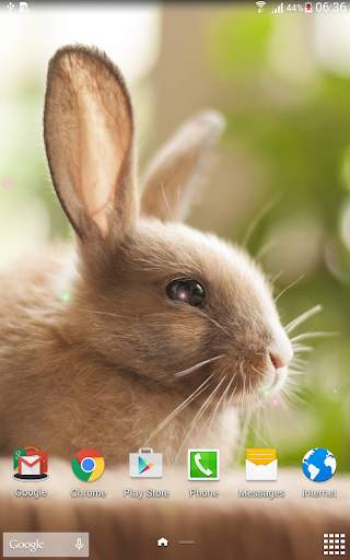 Cute Animals Live Wallpaper screenshot 7