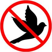 Anti bird sound 1.1