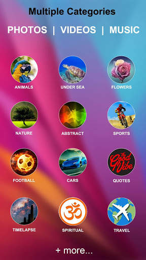 HD Walls Pro - Live Wallpapers & Backgrounds 4K/3D screenshot 6