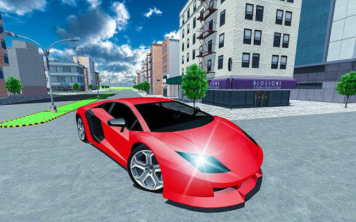 Realistic Car Driving Simulator screenshot 1