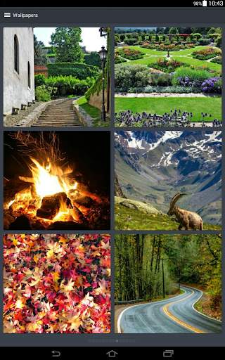 Wallpapers for Mobile Phones screenshot 9