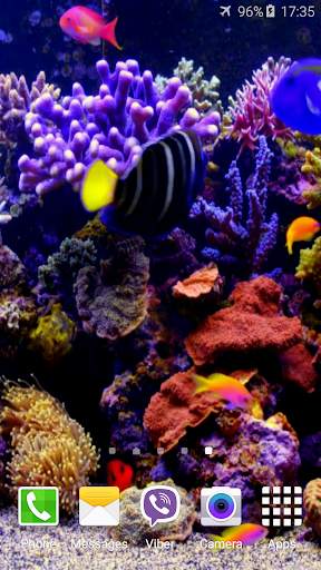 Aquarium 4K Video Wallpaper screenshot 4