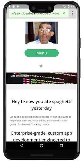 Edit a webpage - Momo Pro screenshot 6