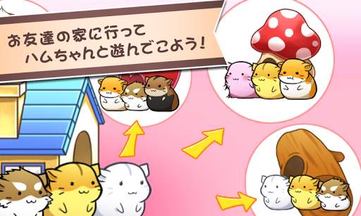 ハムスターライフ - 無料育成ゲーム screenshot 5