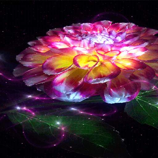 Magic Flower Light LWP 3