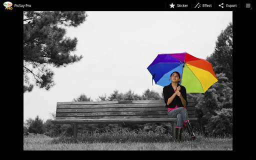 PicSay Pro - Photo Editor screenshot 8