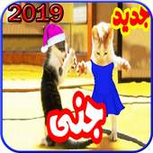 Dancing Cat Father Habibi Dad tanpa Internet 2019