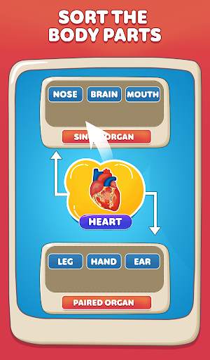 Human Body Parts Learning Game screenshot 2