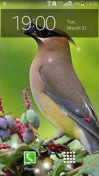 Spring Birds screenshot 4